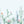 Load image into Gallery viewer, Collection of Cactus Wall Mural - Staunton and Henry