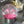 Load image into Gallery viewer, Flamingo Snow Globe - Staunton and Henry