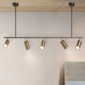 Modern Brass Hanging Track Lights - Staunton and Henry