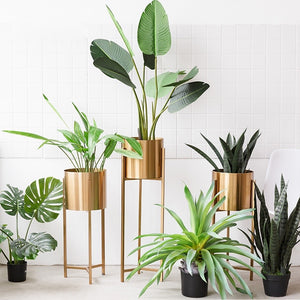 Modern Brass Plant Stand - Staunton and Henry