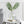 Load image into Gallery viewer, Modern Round Beaker Vase - Staunton and Henry