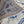 Load image into Gallery viewer, Aziz Blue and White Wool Rug - Staunton and Henry
