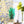 Load image into Gallery viewer, Transparent Botanical Wall Art With Frame - Staunton and Henry