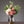 Load image into Gallery viewer, Mirrored Grey Glass Vase with Gold Base - Staunton and Henry