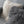 Load image into Gallery viewer, Plush Tibetan Wool Sheepskin Throw Cushion - Staunton and Henry