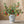Load image into Gallery viewer, Artificial Pomegranate Fruit Plant - Staunton and Henry