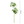 Load image into Gallery viewer, Artificial Leaf - Pieris - Staunton and Henry