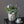 Load image into Gallery viewer, Potted Faux Cactus and Succulent Flower Arrangement - Staunton and Henry