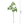 Load image into Gallery viewer, Artificial Leaf - Pieris - Staunton and Henry
