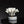 Load image into Gallery viewer, Faux White Coral Ornament - Staunton and Henry