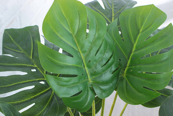 Artificial Monstera Plant - Staunton and Henry