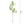 Load image into Gallery viewer, Artificial Leaf - Pieris - Staunton and Henry