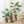 Load image into Gallery viewer, Artificial Monstera Plant - Staunton and Henry