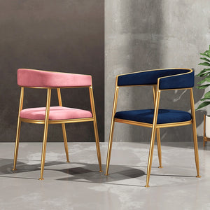 Ella Velvet Dining Chairs with Gold Legs (Set of 2) - Staunton and Henry