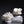 Load image into Gallery viewer, Faux White Coral Ornament - Staunton and Henry