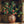 Load image into Gallery viewer, Artificial Pomegranate Fruit Plant - Staunton and Henry