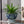 Load image into Gallery viewer, Blue and White Chinese Ceramic Plant Pot - Staunton and Henry
