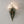 Load image into Gallery viewer, Zoe Flower Wall Light - Staunton and Henry