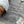 Load image into Gallery viewer, Omar Gray Transitional Rug - Staunton and Henry