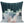 Load image into Gallery viewer, Abstract Teal and Beige Throw Cushion - Staunton and Henry
