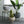 Load image into Gallery viewer, Modern Moroccan Planter with Legs - Staunton and Henry