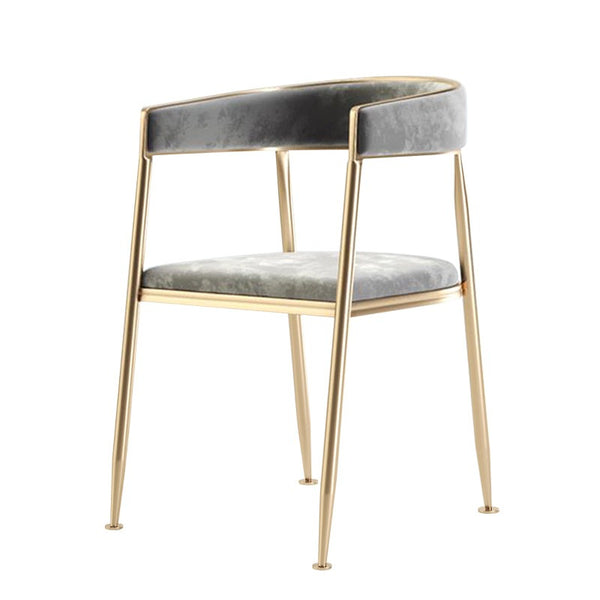 Ella Velvet Dining Chairs with Gold Legs (Set of 2) - Staunton and Henry