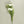 Load image into Gallery viewer, Carnation Silk Flowers - Set of 3 Stems - Staunton and Henry