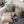 Load image into Gallery viewer, Chevron Pattern Throw Cushions - Staunton and Henry