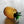 Load image into Gallery viewer, Glass Pineapple Containers - Staunton and Henry