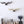 Load image into Gallery viewer, Antler Wall Hooks - Staunton and Henry