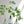 Load image into Gallery viewer, Artificial Leaf - Pieris - Staunton and Henry