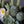 Load image into Gallery viewer, Potted Faux Cactus and Succulent Flower Arrangement - Staunton and Henry