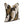 Load image into Gallery viewer, Herman Art Deco Throw Cushion - Staunton and Henry