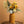 Load image into Gallery viewer, Block Color Ceramic Vase - Staunton and Henry