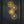 Load image into Gallery viewer, Flora Round Glass and Gold Wall Light - Staunton and Henry