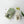 Load image into Gallery viewer, Porcelain House Tea Light Holder - Staunton and Henry