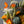 Load image into Gallery viewer, Potted Faux Cactus and Succulent Flower Arrangement - Staunton and Henry