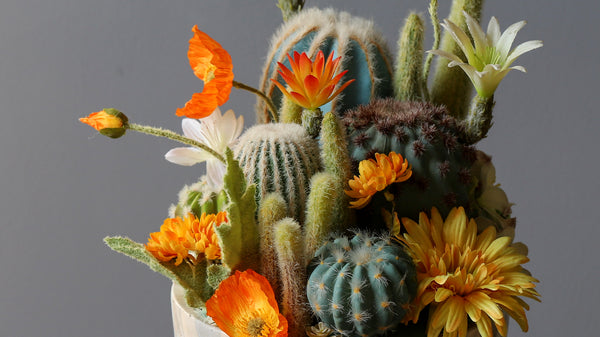 Potted Faux Cactus and Succulent Flower Arrangement - Staunton and Henry