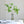 Load image into Gallery viewer, Artificial Leaf - Pieris - Staunton and Henry