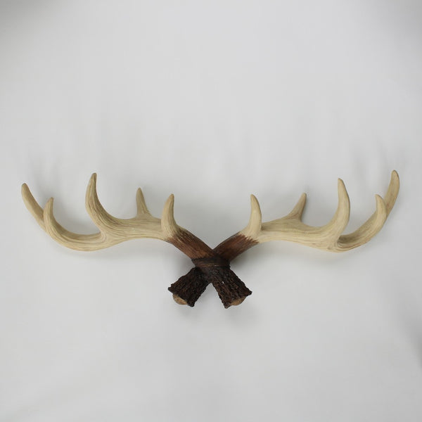 Antler Wall Hooks - Staunton and Henry