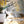 Load image into Gallery viewer, Yellow and Blue Palms Wallpaper - Staunton and Henry
