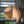 Load image into Gallery viewer, Studio Vayehi Wing Wood Veneer Ceiling Light - Staunton and Henry