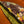 Load image into Gallery viewer, Velvet Oriental Garden Throw Cushion - Staunton and Henry