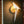 Load image into Gallery viewer, Polly Origami Bird Wall Sconce - Staunton and Henry