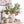 Load image into Gallery viewer, Artificial Pomegranate Fruit Plant - Staunton and Henry