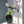 Load image into Gallery viewer, Controlled Bubble Art Glass Vase - Staunton and Henry