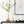 Load image into Gallery viewer, Tapered Colored Glass Vase with Gold Rim - Staunton and Henry
