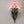 Load image into Gallery viewer, Zoe Flower Wall Light - Staunton and Henry