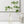 Load image into Gallery viewer, Artificial Leaf - Pieris - Staunton and Henry