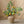 Load image into Gallery viewer, Artificial Pomegranate Fruit Plant - Staunton and Henry
